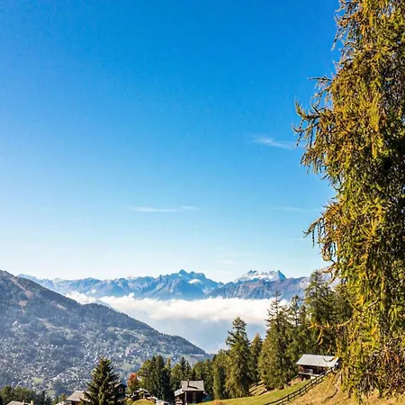 Amazing Close To The Centre *