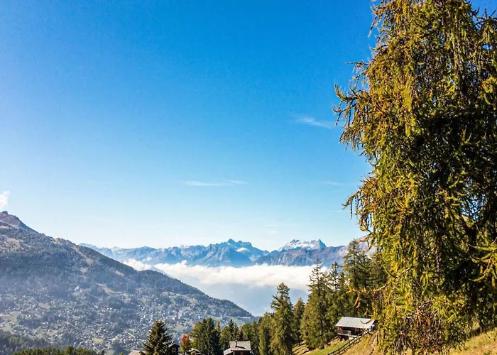 Amazing Close To The Centre *