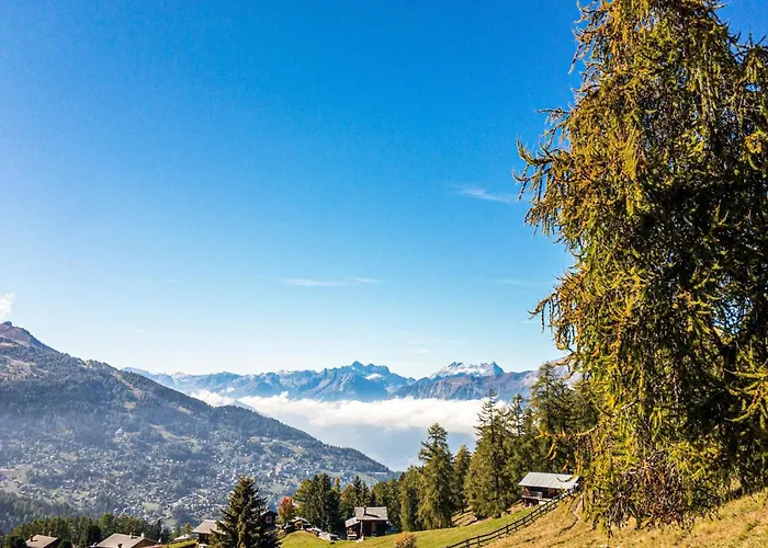 Amazing Close To The Centre * 南达